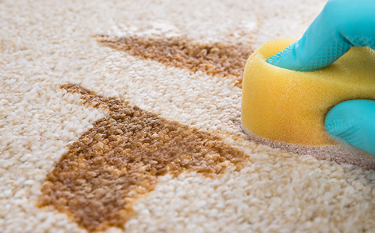 A Few Minor Problems to Consider with Stain Resistant Carpet