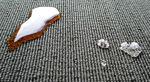 Water Resistant Rug 