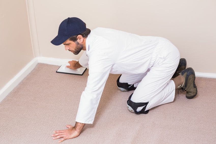 Mission Viejo Carpet Company I Orange County Carpet Company I Carpet Tips I Carpet Cleaning