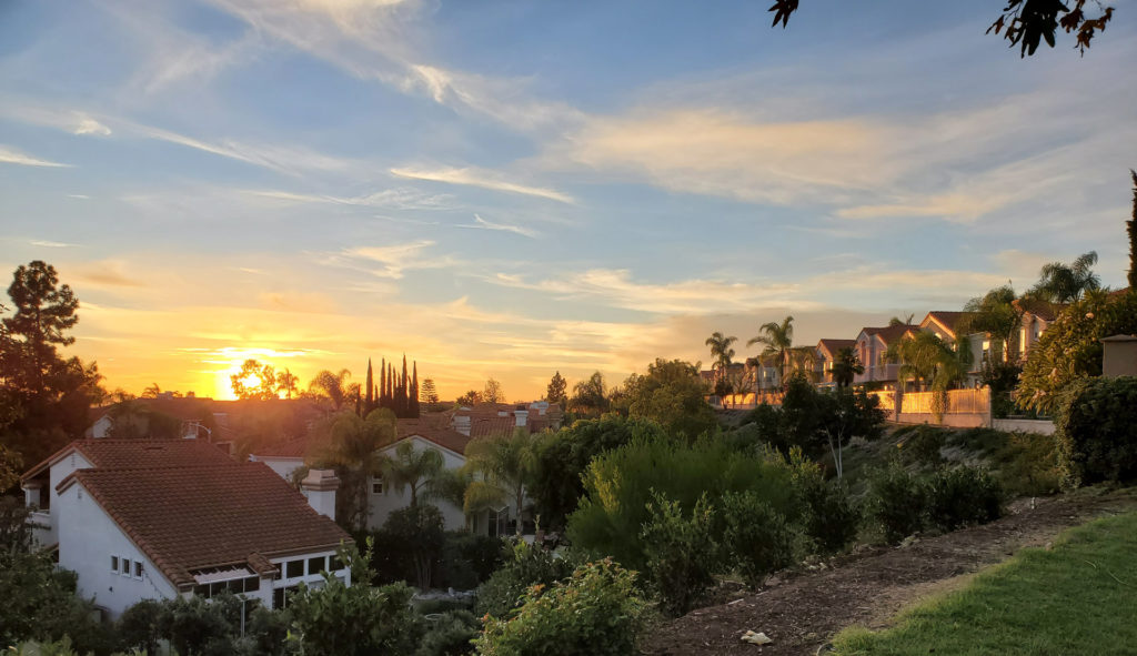 Lake Forest Sunset