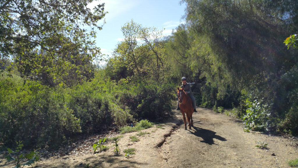 Woman riding a horse on a trail in Laguna Hills
