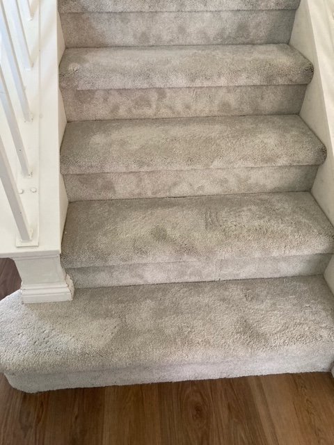 Saddleback carpet installs carpet on stairs