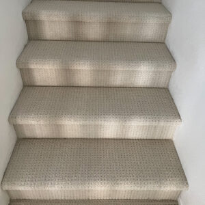 Carpet Shaw San Antonio color Beach Haven.
