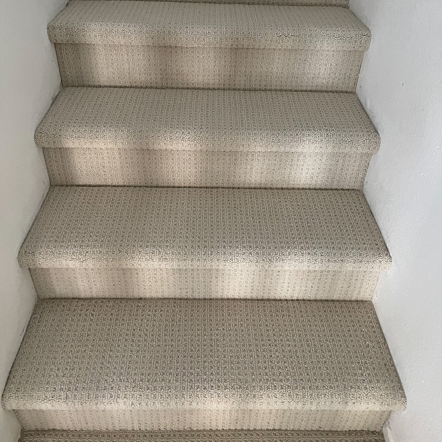 Carpet Shaw San Antonio color Beach Haven.
