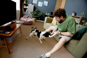 Man and dog playing on carpet