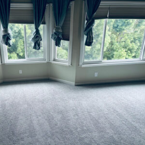 Shaw San Antonio in Lullaby Carpet Installation