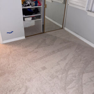 Shaw Floors Vivid Touch II Color Cafe Latte